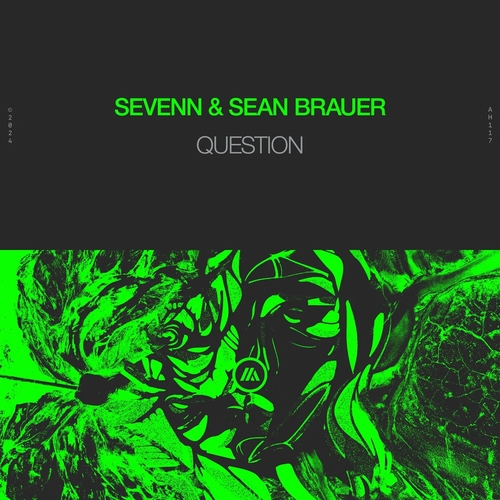 Sevenn & Sean Brauer - QUestion [5054197933882]